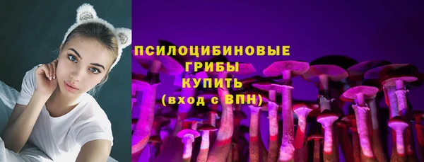 apvp Магадан